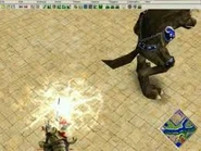 Arkantos (Blessed) with Cerberus