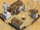 Town Center (Age of Mythology)