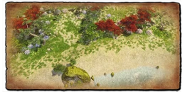 AoE3DE Honshu 1