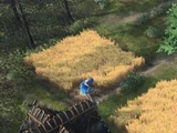 Farm (Age of Empires IV)