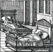 Caladrius birds depicted in the Physiologus, 1588, illustration by Pieter van der Borcht
