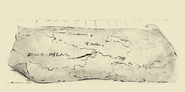 Scenario cutscene map