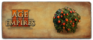 Berry Bush image from the Compendium section in Age of Empires III: Definitive Edition.