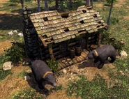 In-game Black Bear guarding treasure in Age of Empires III: Definitive Edition