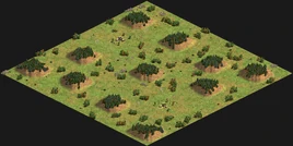 2 player