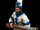 Royal Janissary