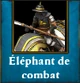Éléphant de combat d'élite