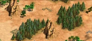 The Asian part of the map