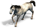 Horse v prev aoe2de.png