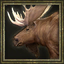 Moose portrait in the Age of Empires III beta