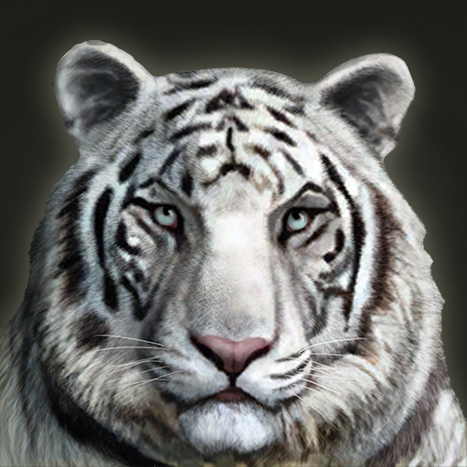 White tiger - Wikipedia