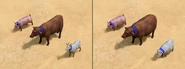 A Pig, Cow, and Goat fattening over time in Retold.