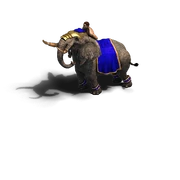 NuRoR war elephant attack