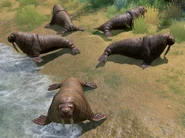Walrus views AoMR.png (1.87 MB) Views of the in Walrus in Retold