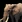 Elefante aoe2DE