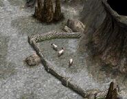 Stone Fences walling Goats inside a cave.