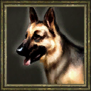 War Dog portrait in the Age of Empires III beta