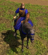 In-game Disciplined Steppe Rider in the Definitive Edition