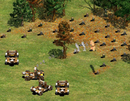 A group of Siege Onagers cutting down trees