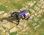Close-up of the Donkey Caravan in Retold