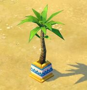 Tall palm