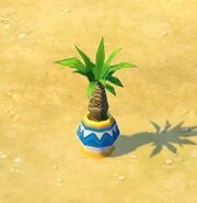 Shortpalmtree.jpg