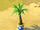 Tall Potted Palm Tree