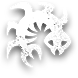 Ra'Archne.png