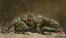 War rats