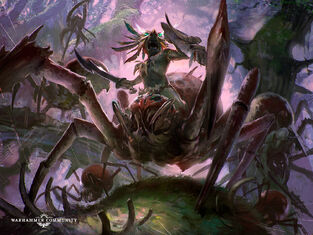 WEBSPINNER SHAMANS.jpg