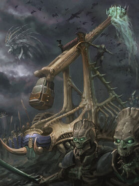 Mortek crawler.jpg