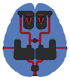 Brain 89. Полуинвазивные нейроинтерфейсы. Протез мозга.