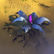 Плод сладкоречья. На карте