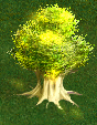 Life Node. AoW II