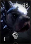 War Hound4-иконка
