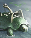 Turtle-Catapult.png