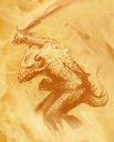 Salamander.png