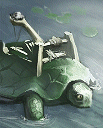 U TCata.gif