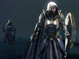 Паладин (AoW 4)
