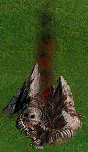 Death Node. AoW II.png