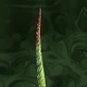 Living Vine4-иконка