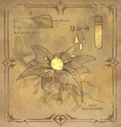 Астральная роса. Изображение