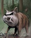 Wild-Boar.png