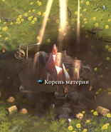 Корень Материи