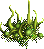 Poison Plant.png