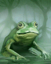 U frog.gif