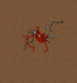 Heartwood Forest. D.png (15 КБ)