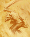 U Salmdr.gif