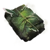 Tome of Fey Mists