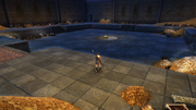 Secret Treasure Room